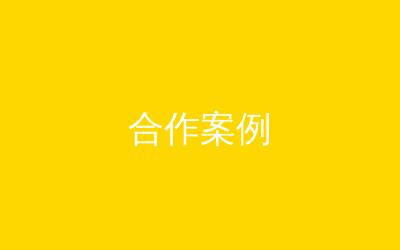 高端合作案例精品页面
