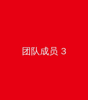 王强 - 技术总监